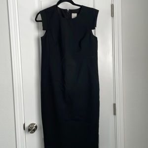 Hatch-J.Crew Resume Dress - Maternity